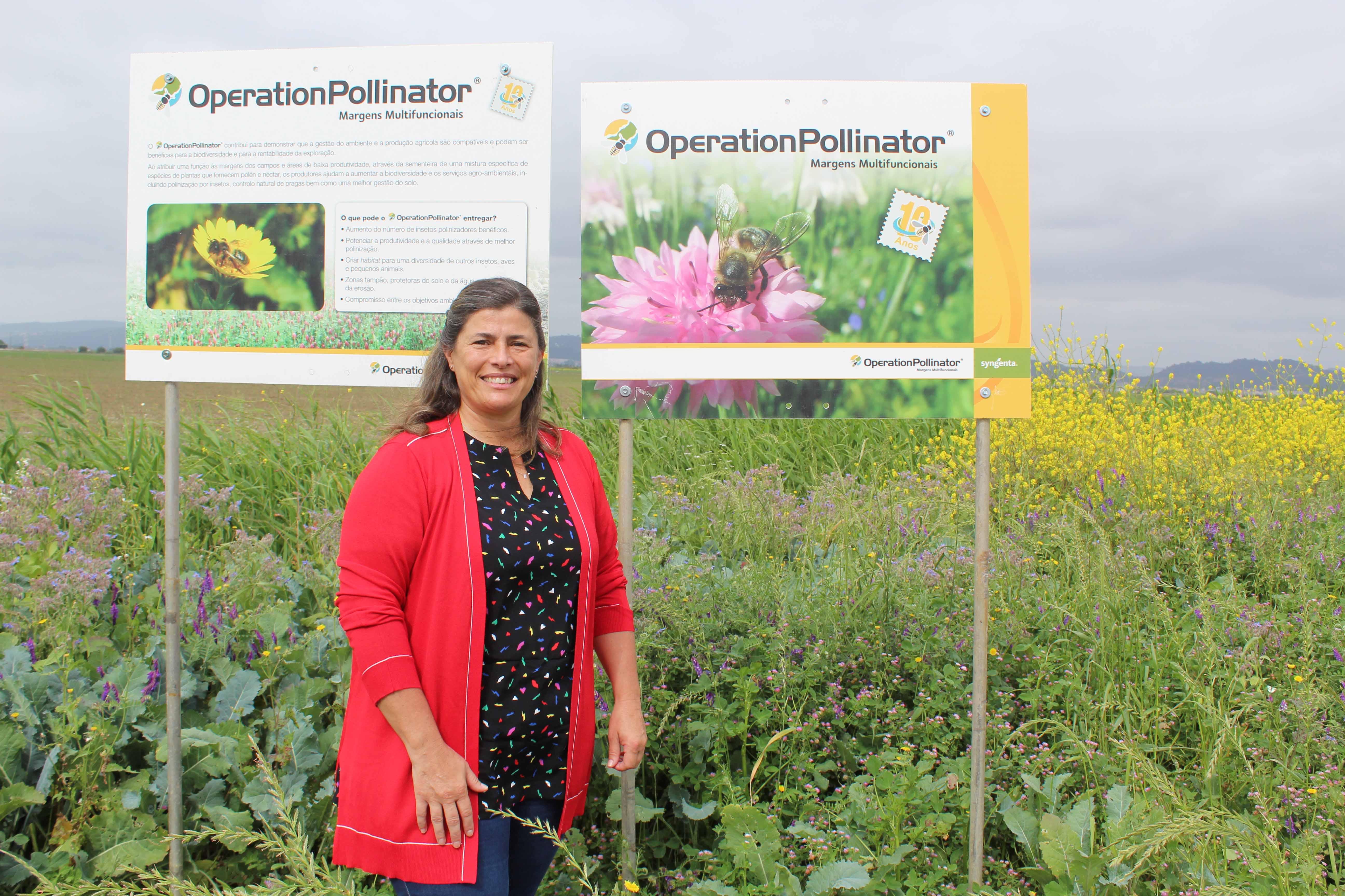 Syngenta Operation Pollinator